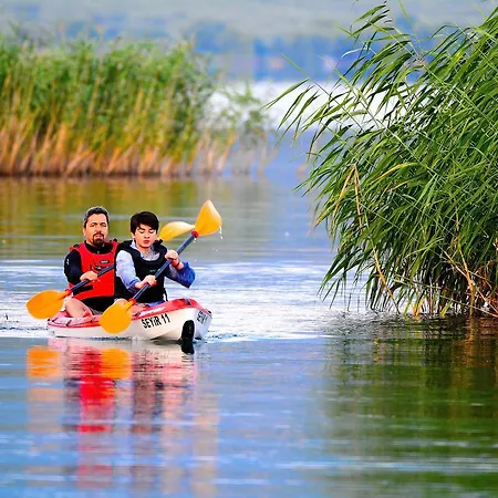 Seyir İznik